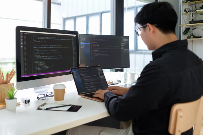 Software Developer